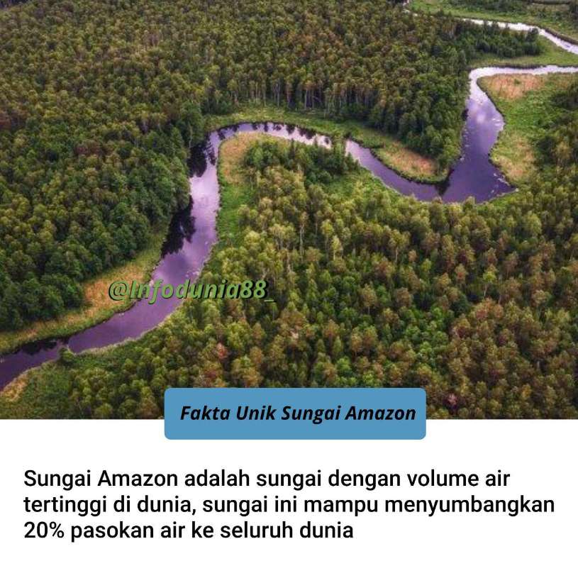 Sungai Amazon, Pemasok 20 Persen Air Tawar Dunia yang Menjadi Nadi Kehidupan Bumi