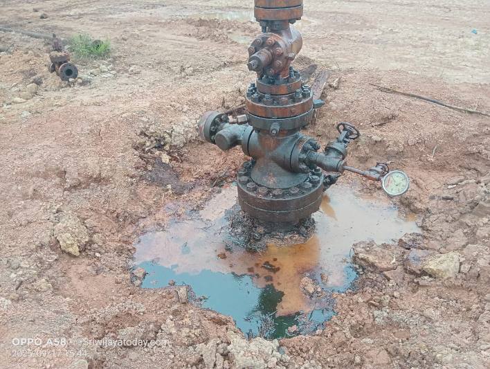 Kebun Warga Rusak Akibat Kebocoran Pipa Pertamina Adera, DLH PALI Terkesan Tutup Mata